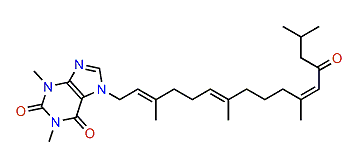 Nuttingin B